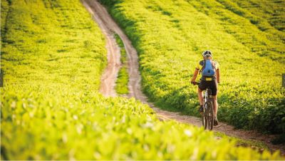 bici