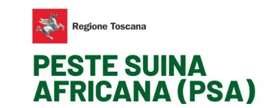 immagine peste suina africana