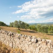 Monte Antico