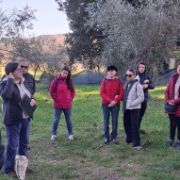 3def4c5c-bb5b-47f2-95c4-89e089101882