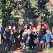 6c22d2e8-39c0-4272-9254-76a69512b4f3