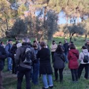 d32f3ac3-823b-42c1-8e77-251e62ee5386