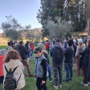 e16065f0-15af-4f6e-b2a2-a5a455674901