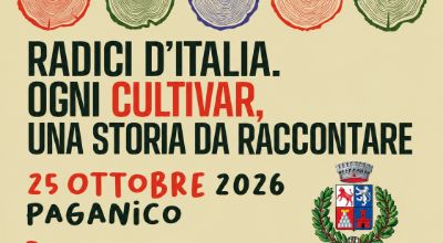Camminata tra gli olivi