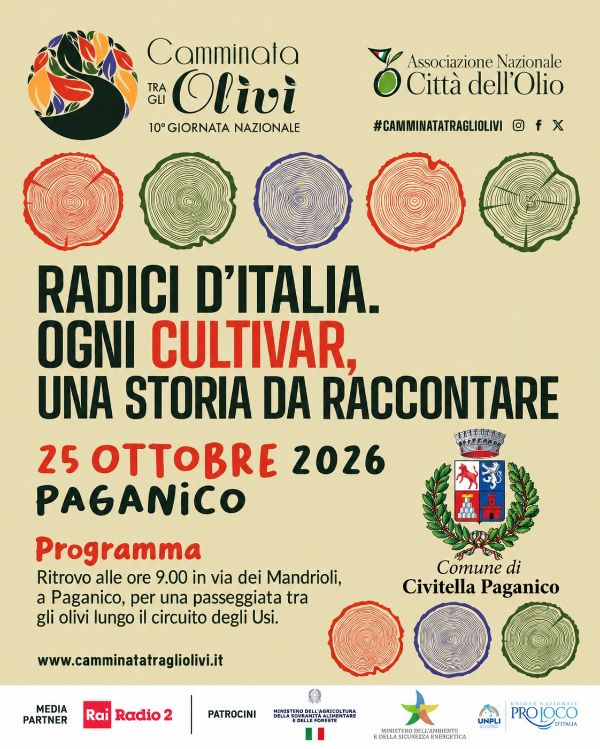 Camminata tra gli olivi